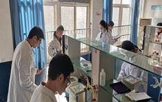 078183ffe2d62c1282f2558c0debf93